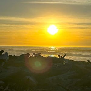 Meet your Posher, Jennie